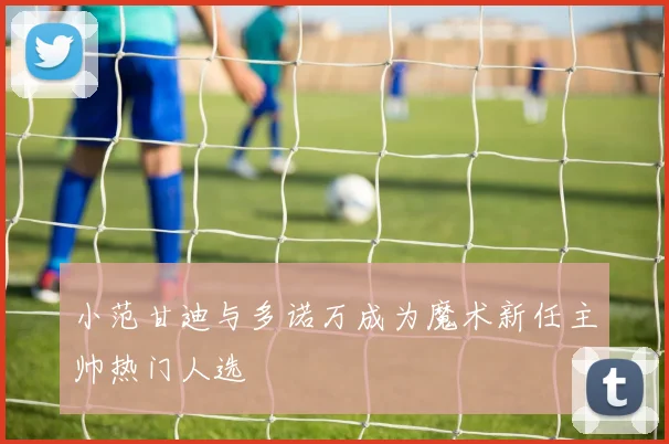 小范甘迪与多诺万成为魔术新任主帅热门人选